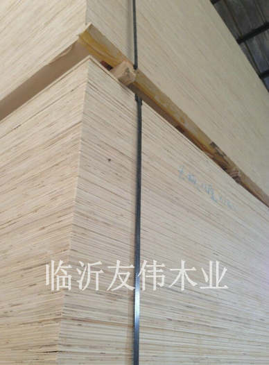 異形托盤板不可貌相，發(fā)展前景不可限量